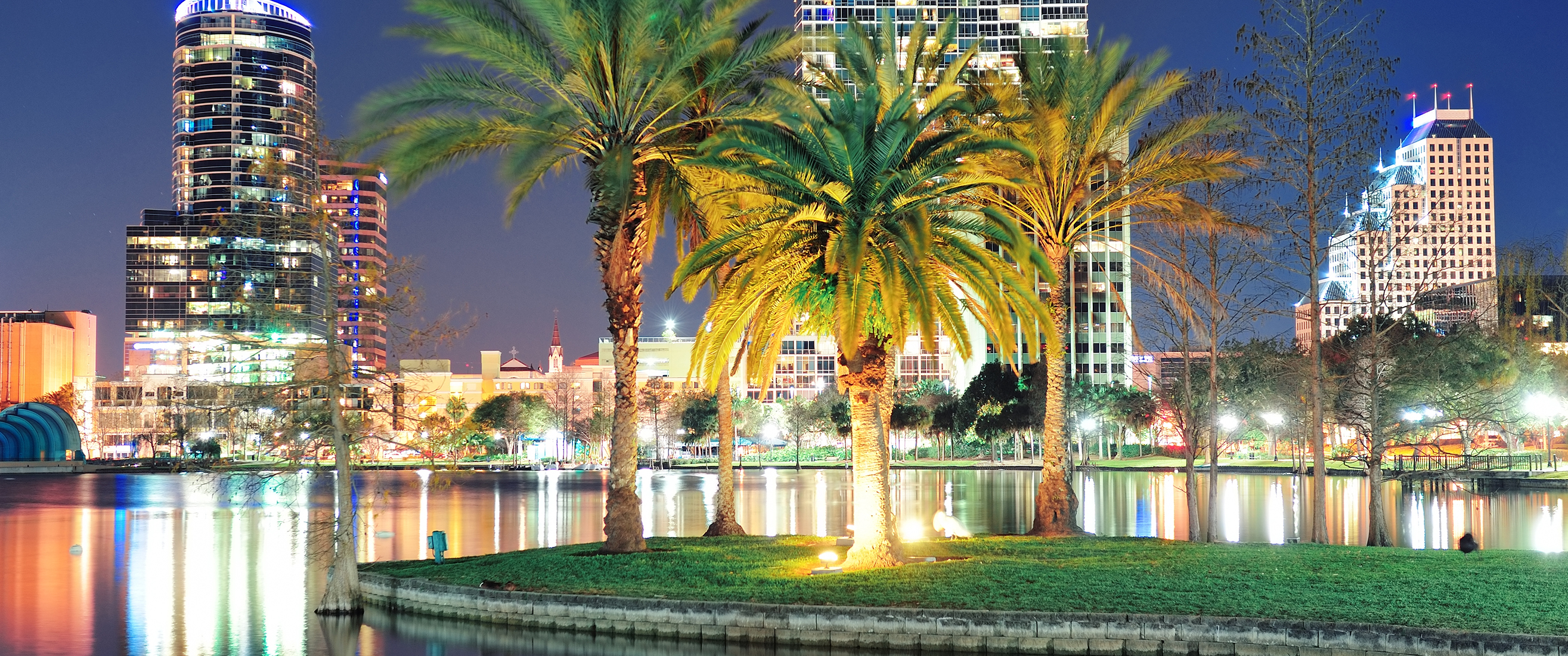 Orlando downtown skyline panorama over Lake Eola at night with urban skyscrapers, tropic palm tree and clear sky.